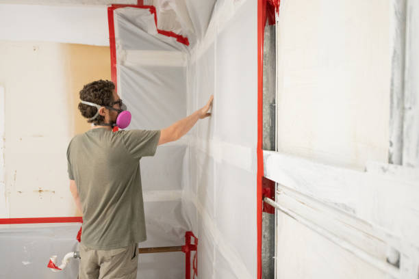 Best Commercial Mold Inspection  in Bayside, WI